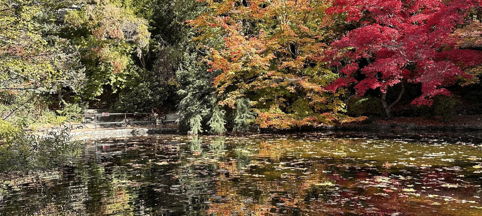 Lithia Park and the Duck Pond in beautiful Ashland Oregon