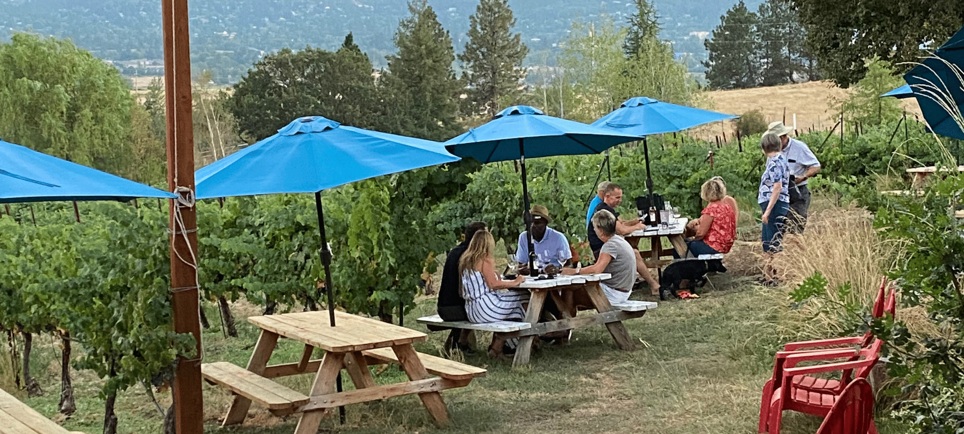 Vineyard get together in the summer in the Rogue Valley Wine Region