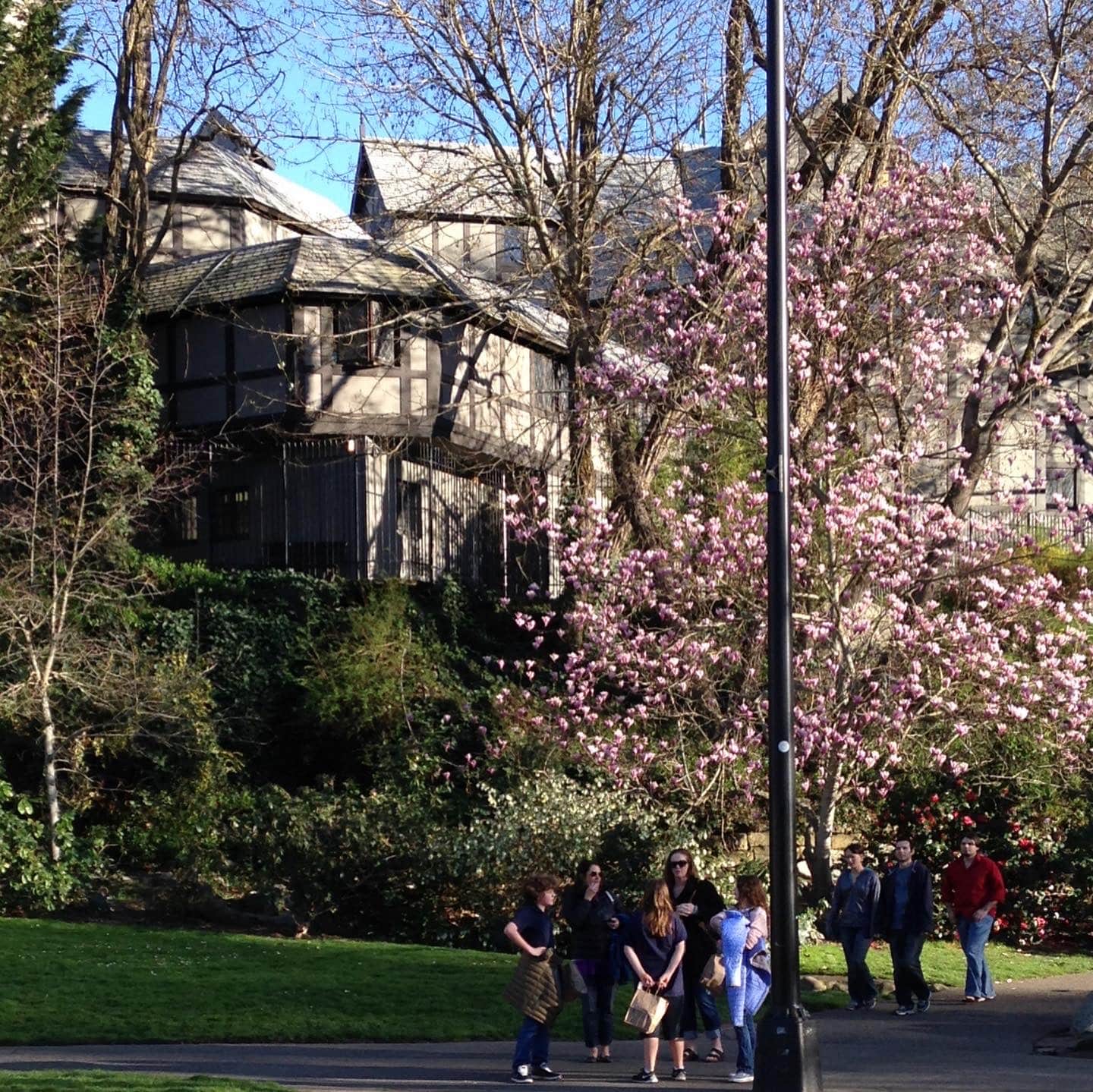 Shakespeare Outdoor Theatre view from Lithia Park in Spring